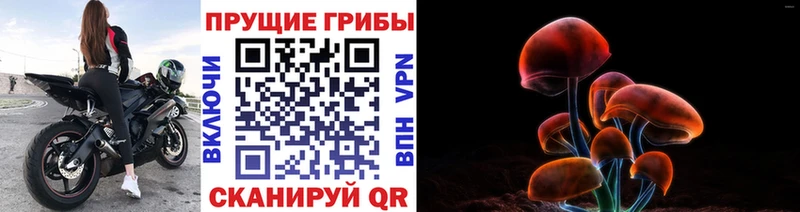 Псилоцибиновые грибы Cubensis  маркетплейс как зайти  Агрыз  купить наркоту 